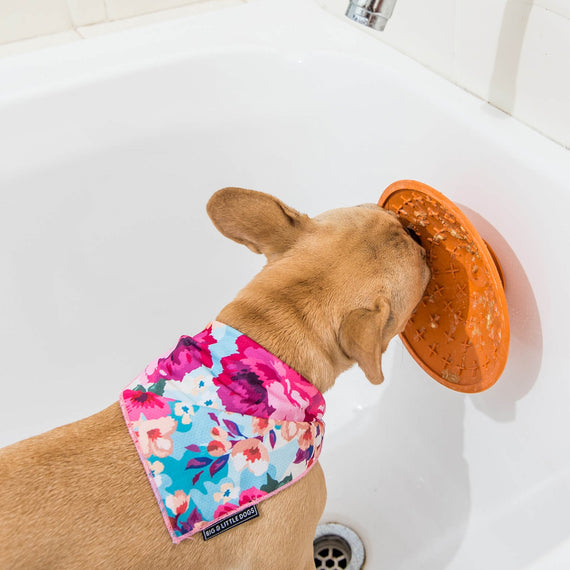 LickiMat Splash - Imagen 5