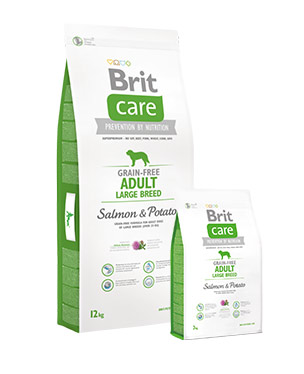 Brit Care Adulto raza grande Salmon y patata
