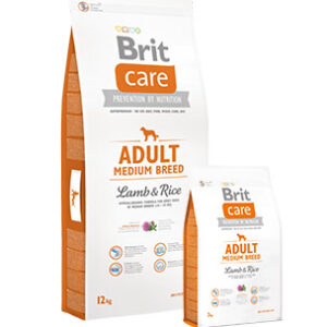 Brit care Adulto raza mediana Cordero y arroz