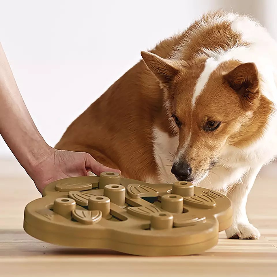 NINA OTTOSSON DOG HIDE N`SLIDE - COMPOSITE - Imagen 3
