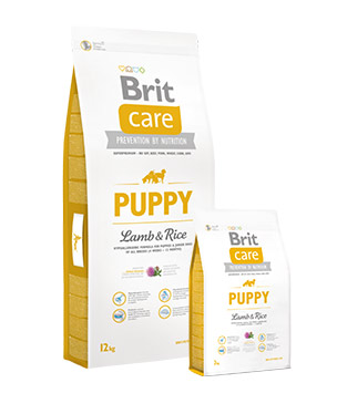 Brit Care puppy cordero y arroz