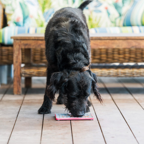 Lickimat Tuff Playdate - Imagen 3
