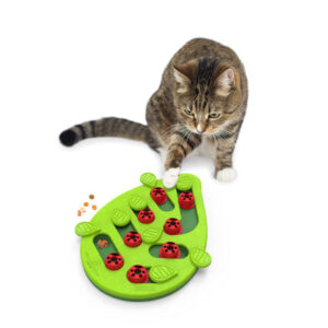 Alternative view of Nina Ottosson puzzle buggin out N2