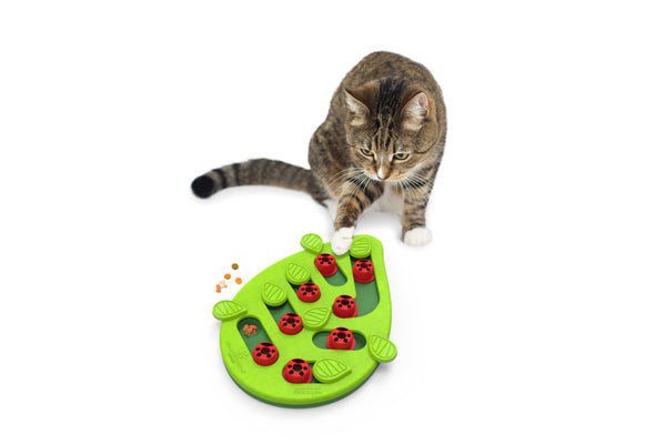Nina Ottosson puzzle buggin out N2 - Imagen 2